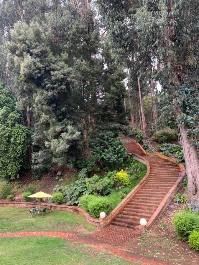 Hotel Bosque De Renaca Vina del Mar Esterno foto