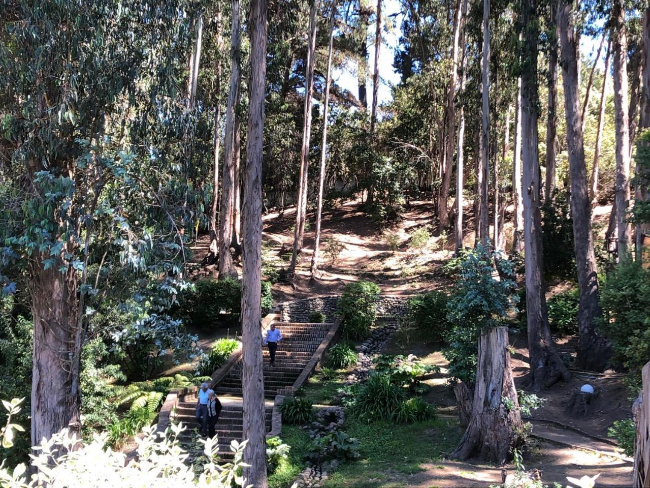 Hotel Bosque De Renaca Vina del Mar Esterno foto