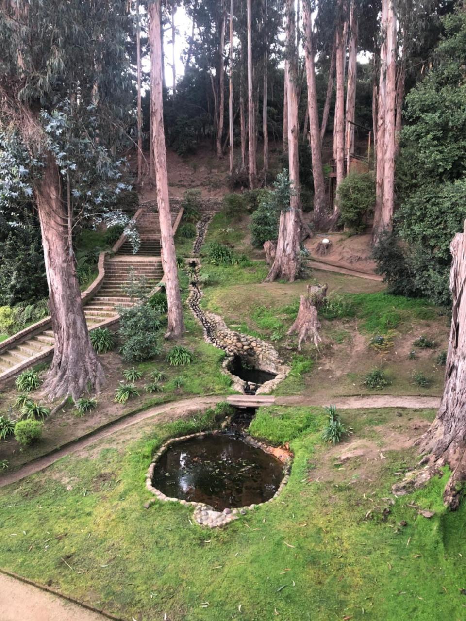 Hotel Bosque De Renaca Vina del Mar Esterno foto