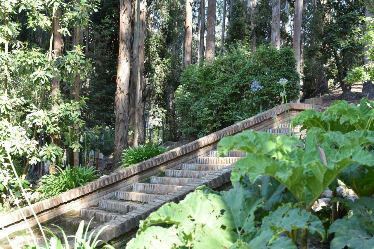 Hotel Bosque De Renaca Vina del Mar Esterno foto
